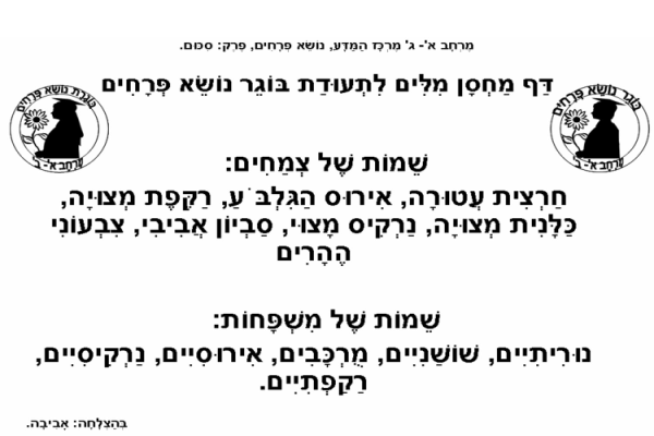 דף מידע לעזרה במשימת מרכז המדע